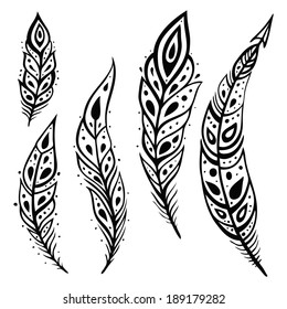 Vintage Feather vector set. Hand drawn illustration.