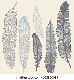 Vintage Feather vector set. Hand-drawn illustration.