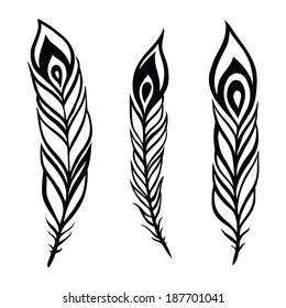 Vintage Feather vector set. Hand-drawn illustration.