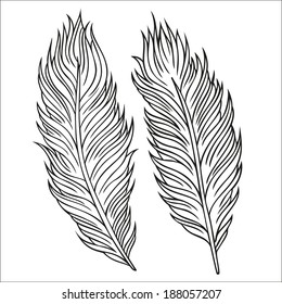 Vintage Feather vector set. Hand-drawn illustration.