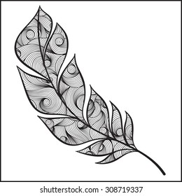 Vintage Feather vector set. Hand-drawn illustration.