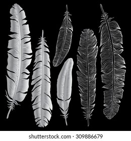 Vintage Feather vector set. Hand-drawn illustration.