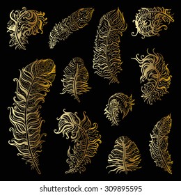 Vintage Feather vector set. Hand-drawn illustration.