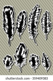 Vintage Feather vector set. Hand-drawn illustration.