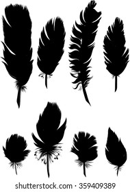 Vintage Feather vector set. Hand-drawn illustration.