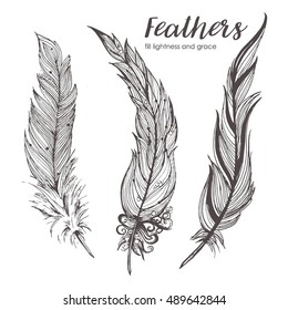 Vintage Feather vector set. Hand-drawn illustration