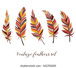 Vintage feathers set. Five elegant feathers of boho style on a white background.