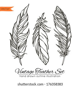 Vintage feathers set isolated on white background. Hand drawn vector illustration. Template for your design