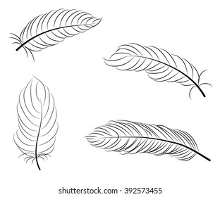 Vintage feathers set isolated on white background. Hand drawn vector illustration.