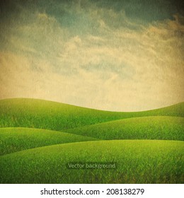 vintage field and blue sky, nature vector background