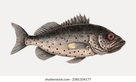 Vintage fish illustration featuring a detailed fish with scales and fins. The fish is depicted with intricate patterns and textures, showcasing its natural beauty. Vintage fish illustration vector.