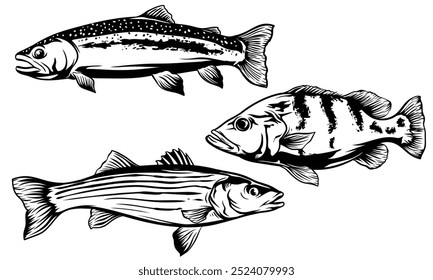  Logotipo de peixe vintage isolado no fundo branco