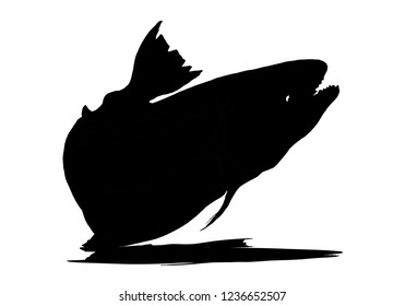 vintage fish,drawing animal,vector