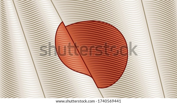 日本のビンテージ国旗 接写の背景 レトロな木版画スタイルのベクターイラスト のベクター画像素材 ロイヤリティフリー