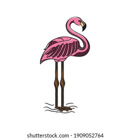 vintage flamingo illustration in vector 