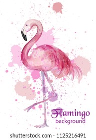 Vintage Flamingo watercolor card Vector. Hand made design decor