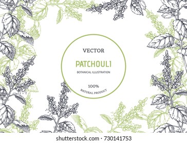 Vintage floral background with plants. Vector botanical illustration with patchouli branches. Herbal texture. Component for aromatherapy