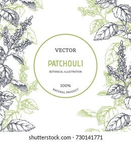 Vintage floral background with plants. Vector botanical illustration with patchouli branches. Herbal texture. Component for aromatherapy