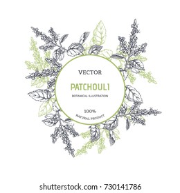 Vintage floral background with plants. Vector botanical illustration with patchouli branches. Herbal texture. Component for aromatic oil