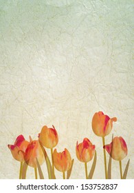 Vintage floral background with space for text. And also includes EPS 10 vector