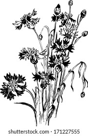 Vintage floral composition, ink drawing, hand drawn vector illustration