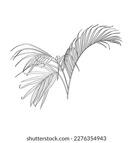 Vintage floral composition with line palm leaves on white. Romantic design for natural cosmetics, perfume, women products. Can be used for greeting card, wedding invitation.