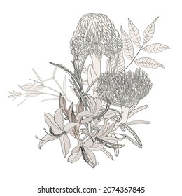 Vintage Blumenzusammensetzung mit Linienprotea, Rhododendron Blume und Blättern auf Weiß. Romantisches Design für Naturkosmetik, Parfüm, Frauenerzeugnisse. Kann für Grußkarte, Hochzeitseinladung verwendet werden.