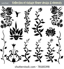Vintage floral design elements. Isolated on white. VECTOR