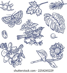 Vintage Floral Doodle Vector Line Art
