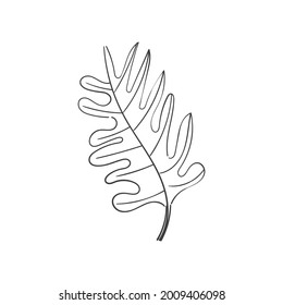 vintage floral elements doodle vector. Elements flowers, branches, swashes and flourishes