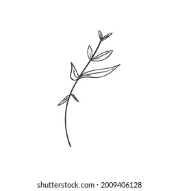 vintage floral elements doodle vector. Elements flowers, branches, swashes and flourishes