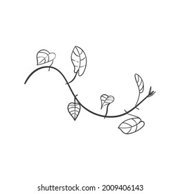 vintage floral elements doodle vector. Elements flowers, branches, swashes and flourishes