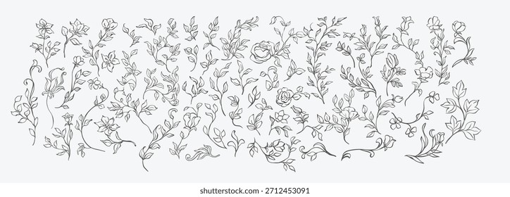 Conjunto de arte de línea de Elementos florales Antiguas. Guardar Caprichosos, ramas elegantes, flores y hojas bocetos para la decoración de la invitación de la boda, marcos, coronas, tarjeta de felicitación, libros, la fecha. Conjunto de plantas victorianas.