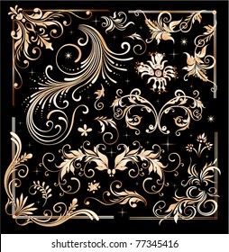 Vintage floral elements, ornament frames and gold flourishes