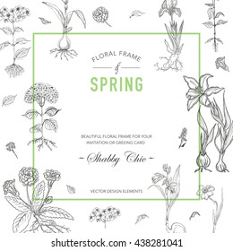 Vintage Floral Frame. Invitation Card. Botanical Illustration. Hand Drawn Flowers  Background. Vector