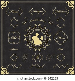 Vintage floral frames and elements illustration collection