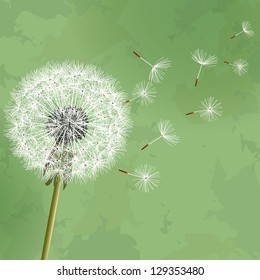 Vintage floral green background with flower dandelion. Invitation or greeting card. Vector illustration