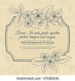 Vintage floral greeting card with spring blossom branch, leaves, flowers, frame on old paper background. Engraving style