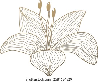 Vintage Floral Head Sketch Vector Illustration