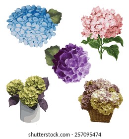  Vintage Floral  Hydrangea 