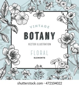 Vintage floral illustration