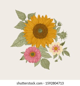 Vintage floral illustration. Autumn. Sunflower, Dahlia and Zinnia. Color