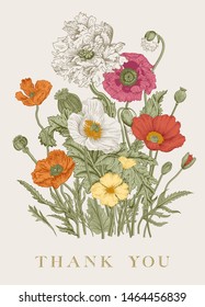 Vintage floral illustration. Bouquet. Flowers Poppies of various varieties. Thank you 