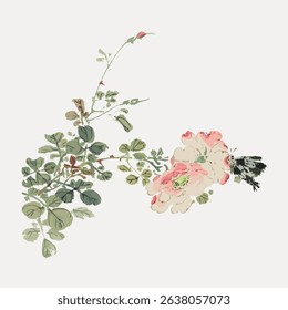 Vintage floral illustration with delicate pink rose and green leaves. Botanical art with a classic rose, showcasing intricate floral details and elegant leaves. Vintage art illustration vector.