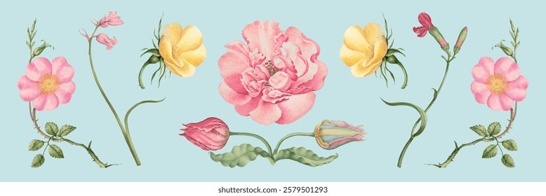 Vintage floral illustration with pink and yellow flowers. Delicate flowers and leaves on a light blue background. Elegant floral design with vintage charm. Vintage illustrations, isolated vector set.