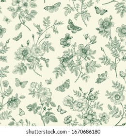 Vintage floral illustration. Seamless pattern. Wild Roses with butterflies. Green and white. Toile de Jouy. 