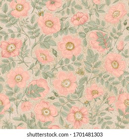 Vintage floral illustration. Seamless pattern. Wild Pink Roses. 