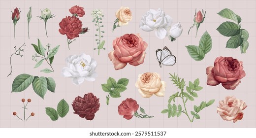 Vintage floral illustrations featuring roses, leaves, and butterflies. Delicate roses and leaves in stages. Classic botanical style with roses and leaves. Spring flower illustrations, isolated vectors