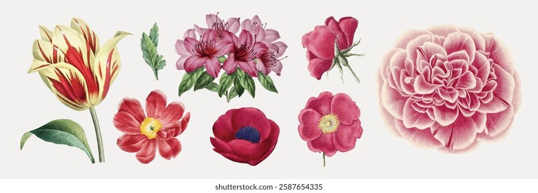 Vintage floral illustrations featuring tulips, roses, and peonies. Colorful flowers, vintage style, floral art. Perfect for floral design and vintage decor. Vintage illustrations, isolated vector set.