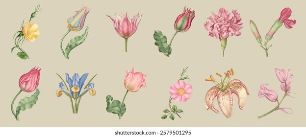 Vintage floral illustrations of various flowers, including tulips, lilies, and roses. Delicate flower designs with intricate details and soft colors. Vintage illustrations, isolated vector set.